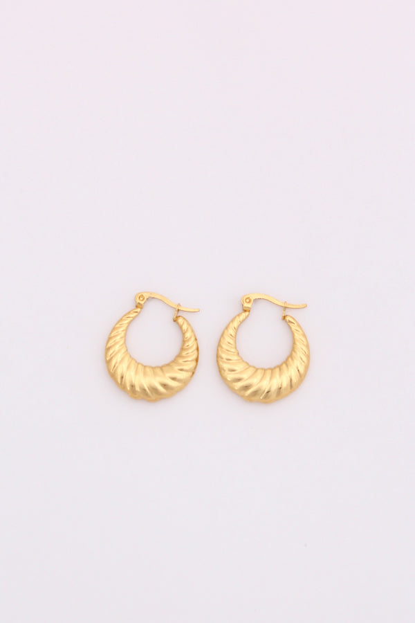 Bold Small Hoops In Chunky Design For Women (ESHP043)