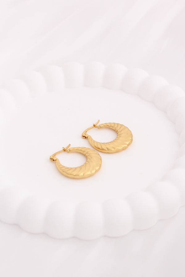 Bold Small Hoops In Chunky Design For Women (ESHP043)