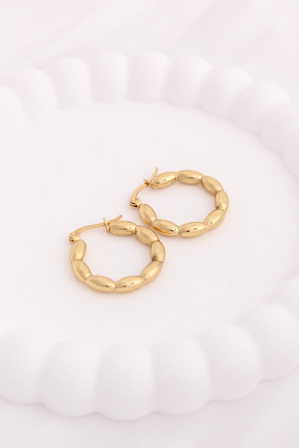 Charming Bubble Hoops For Women (ESHP040)