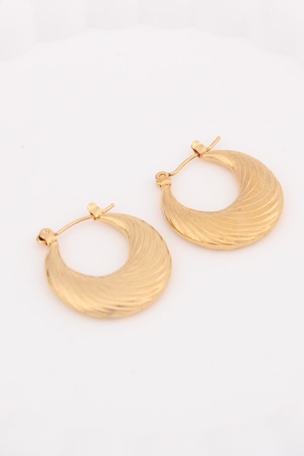 Chic Chunky Textured Hoops For Women (ESHP005)