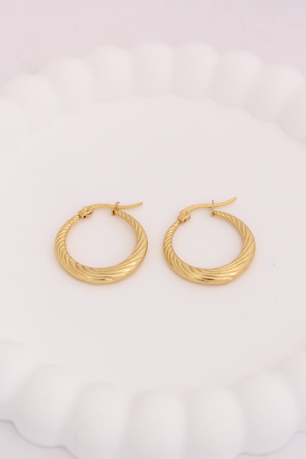 Classy Classic Textured Hoops For Women (ESHP017)