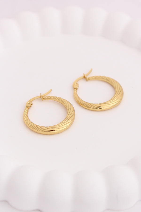 Classy Classic Textured Hoops For Women (ESHP017)