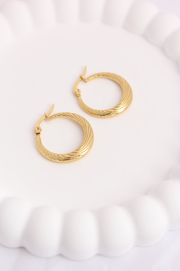 Classy Classic Textured Hoops For Women (ESHP017)