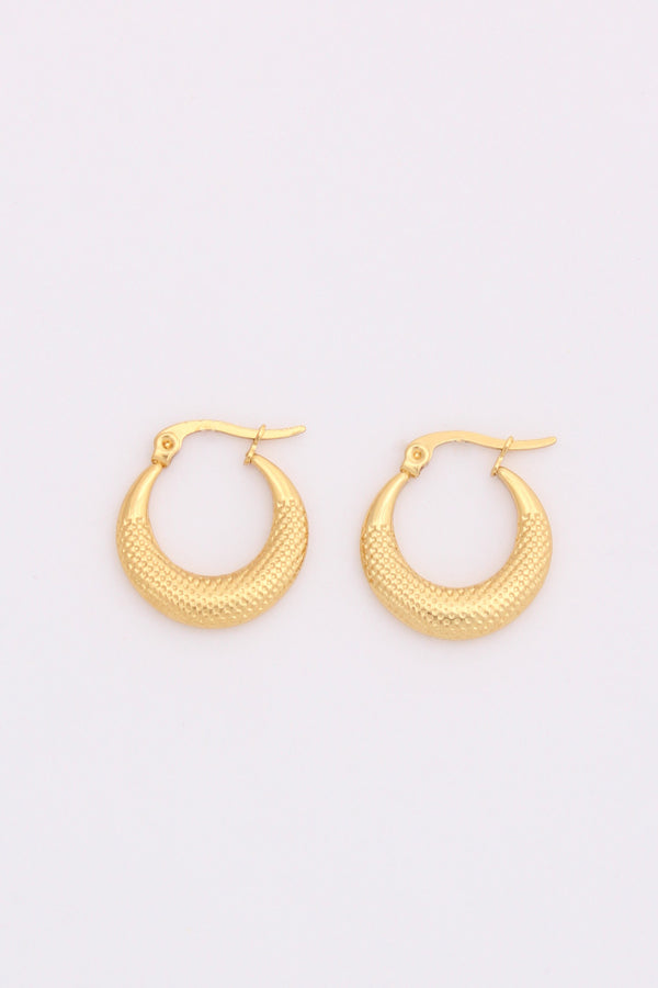 Dainty Mini Hoops With Texture For Women (ESHP032)