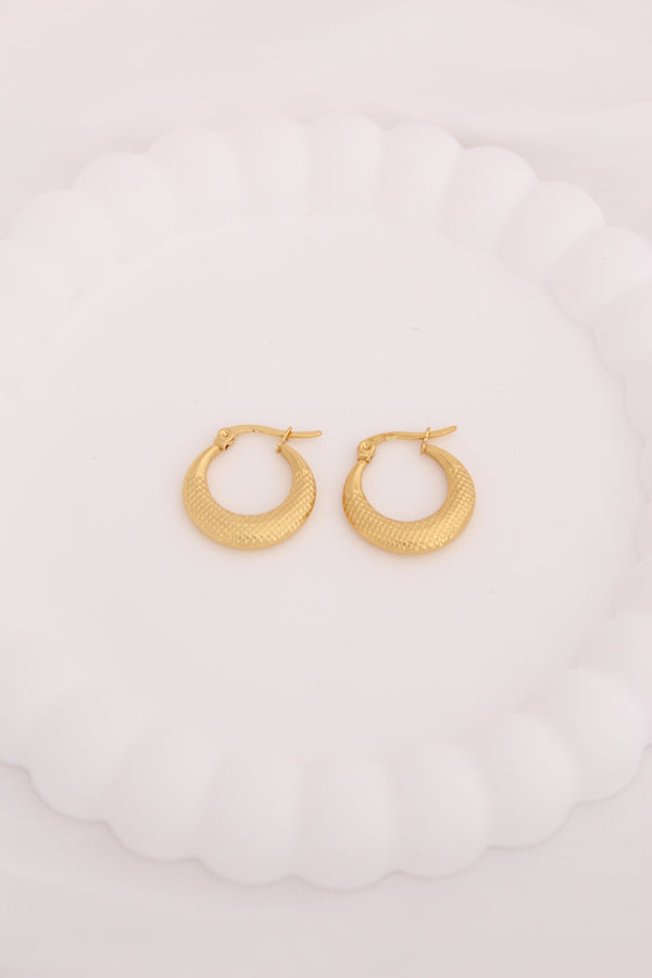 Dainty Mini Hoops With Texture For Women (ESHP032)