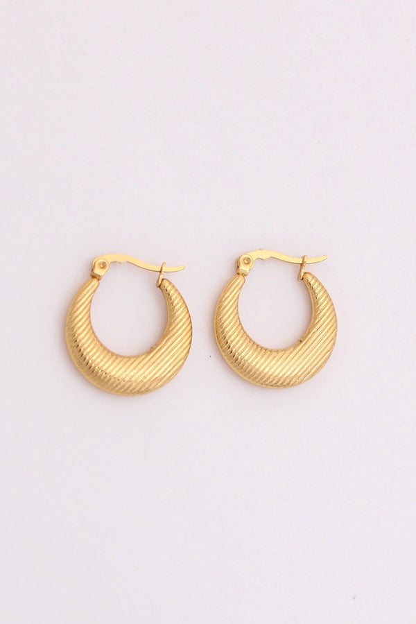 Delicate Classic Hoops With Small Texture For Women (ESHP022)