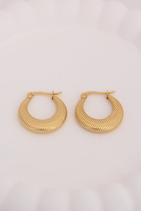 Delicate Classic Hoops With Small Texture For Women (ESHP022)