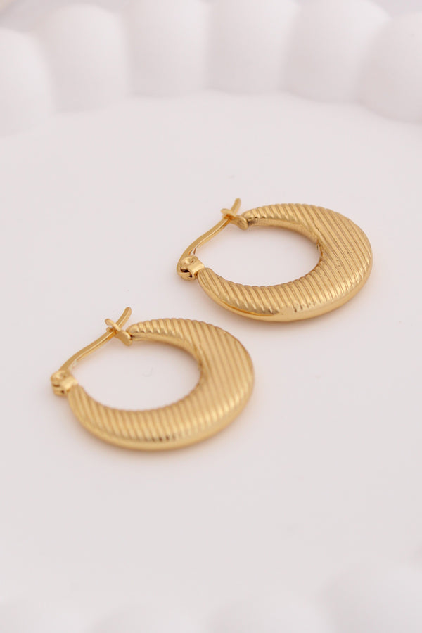 Delicate Classic Hoops With Small Texture For Women (ESHP022)