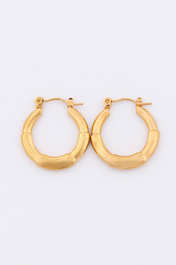 Elegant Small Chunky Hoops For Women (ESHP002)