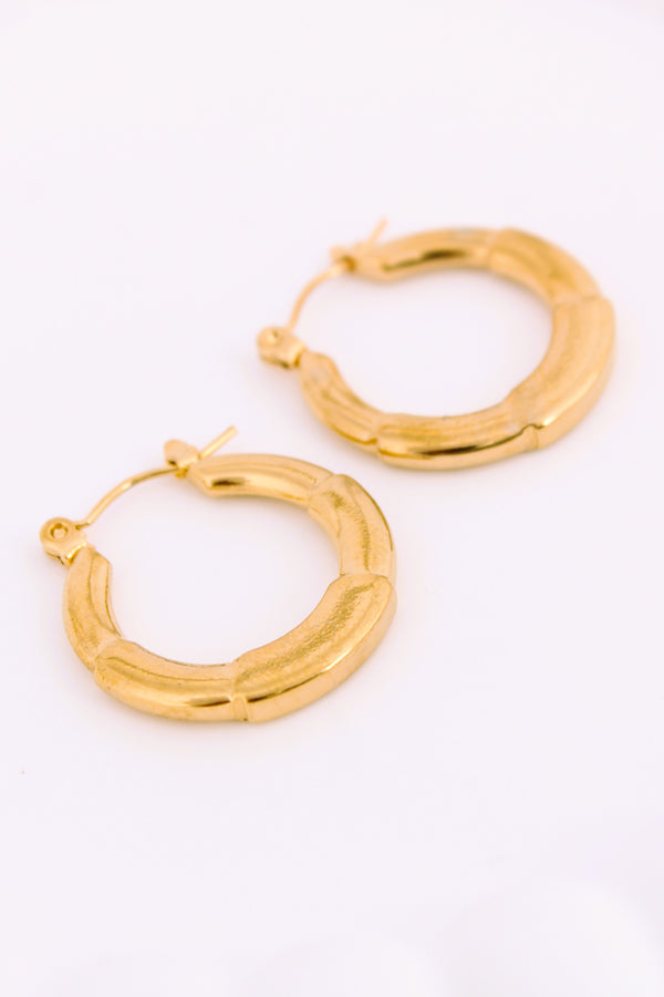 Elegant Small Chunky Hoops For Women (ESHP002)