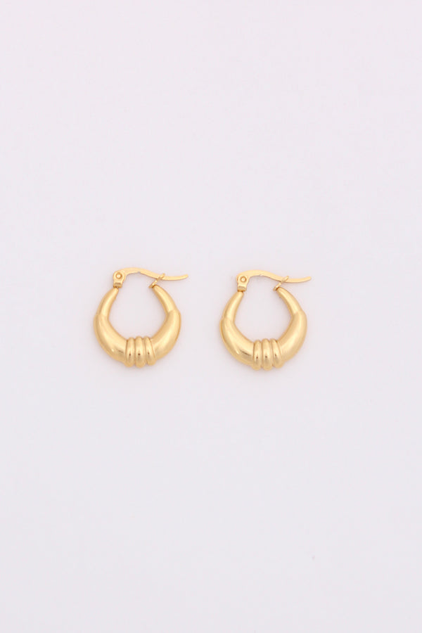Fancy Small Hoops With Centre Design For Women (ESHP035)