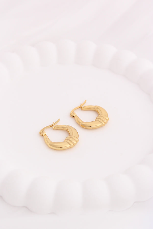Fancy Small Hoops With Centre Design For Women (ESHP035)