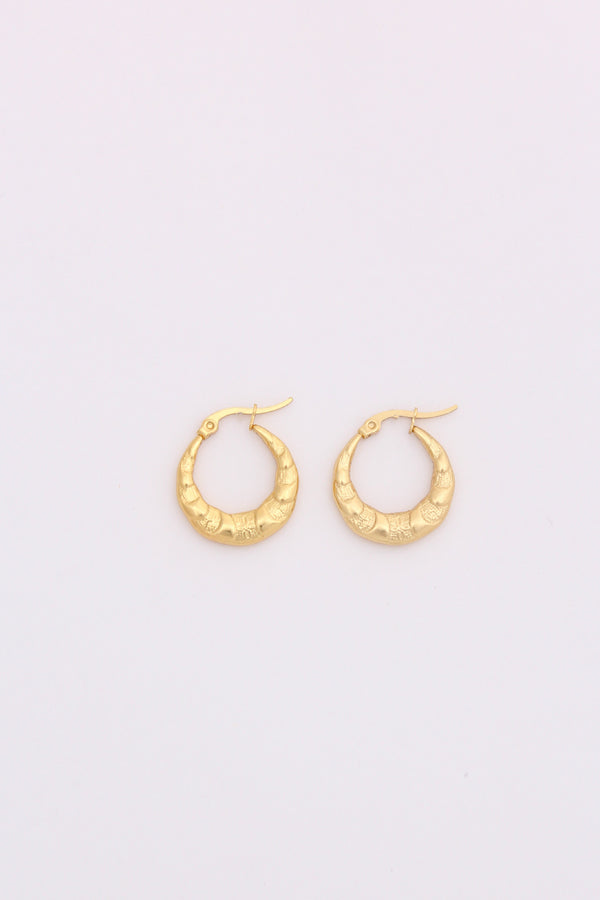 Gorgeous Small Textured Designer Hoops For Women (ESHP038)