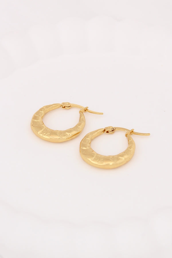 Gorgeous Small Textured Designer Hoops For Women (ESHP038)