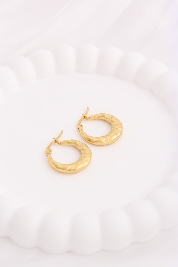 Gorgeous Small Textured Designer Hoops For Women (ESHP038)