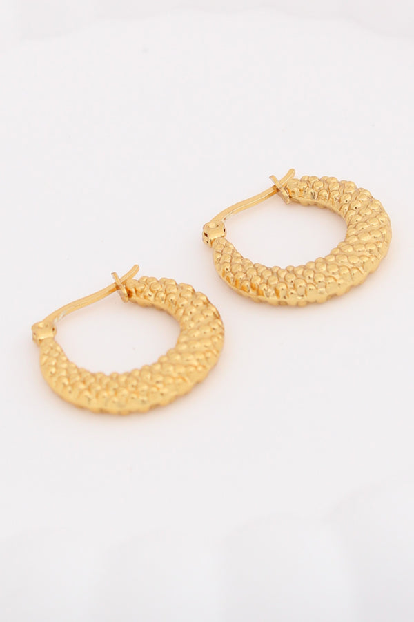 Graceful Small Statement Hoops For Women (ESHP004)