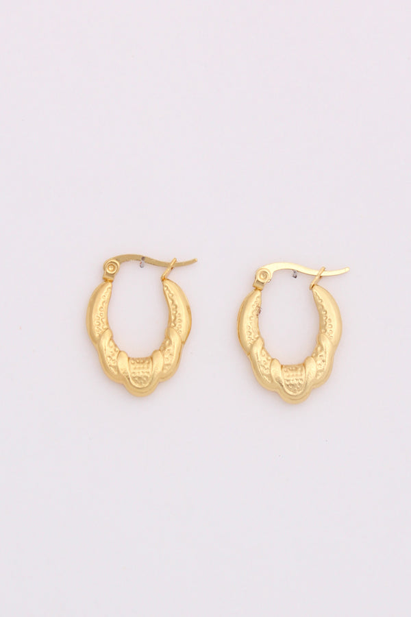 Oval Twisted Hoops For Women (ESHP039)