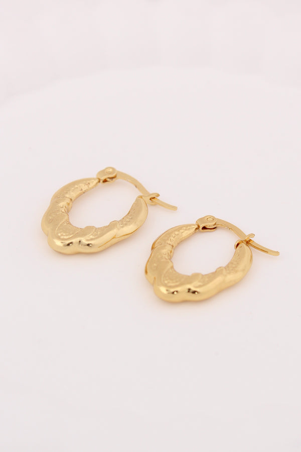 Oval Twisted Hoops For Women (ESHP039)