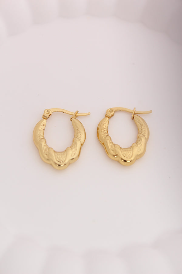 Oval Twisted Hoops For Women (ESHP039)