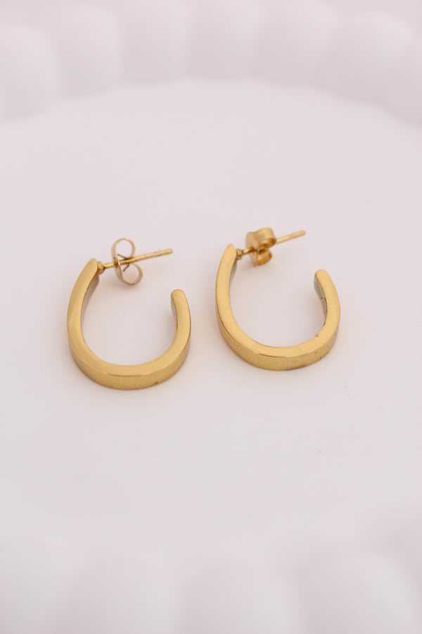 Polished Classic Chunky Hoops For Women (ESHP019)