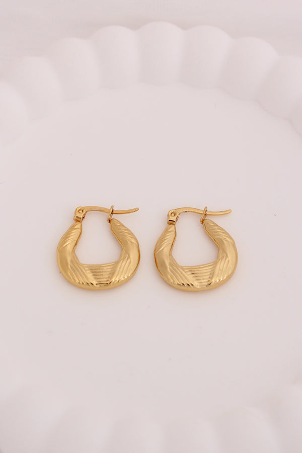 Small Chunky Hoops With Twist For Women (ESHP025)