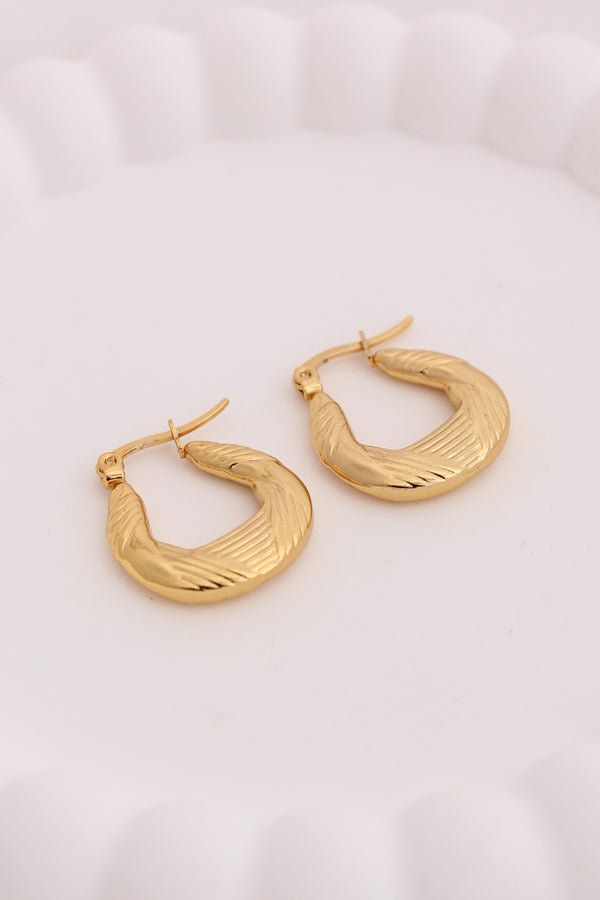 Small Chunky Hoops With Twist For Women (ESHP025)
