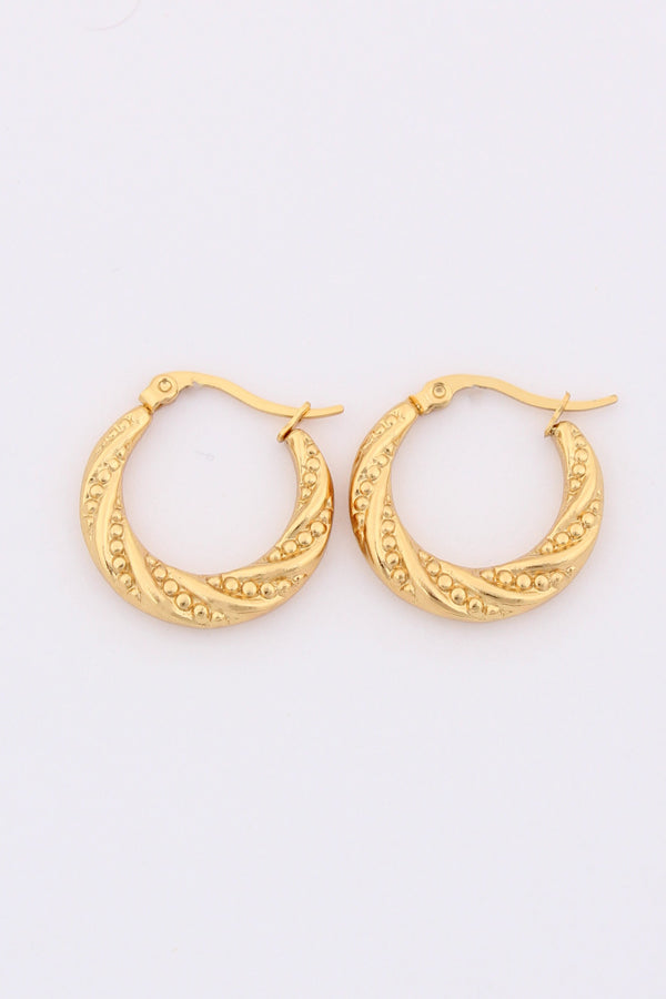 Sophisticated Hoops With Braids For Women (ESHP008)
