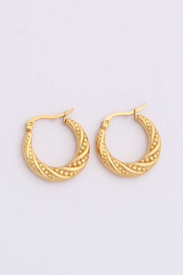 Sophisticated Hoops With Braids For Women (ESHP008)