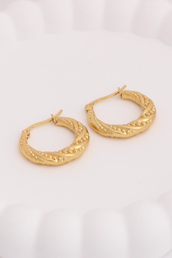 Sophisticated Hoops With Braids For Women (ESHP008)