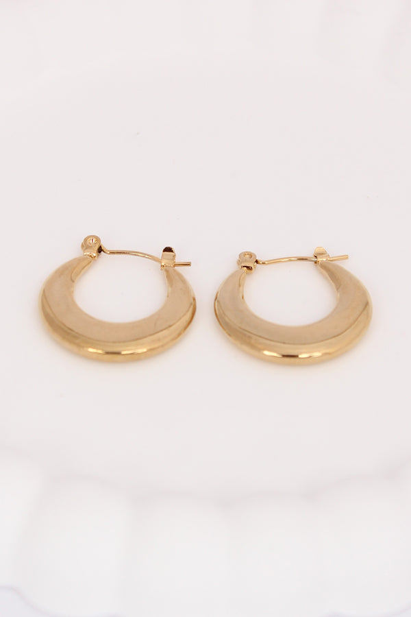 Timeless Classic Golden Hoops For Women (ESHP010)