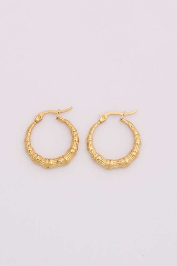 Trendy Hoops With Design For Women (ESHP023)