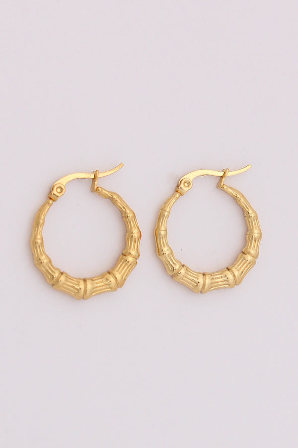 Trendy Hoops With Design For Women (ESHP023)