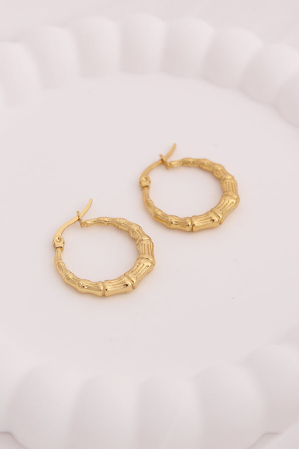 Trendy Hoops With Design For Women (ESHP023)